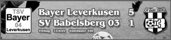 leverkusenheader.jpg 340x80